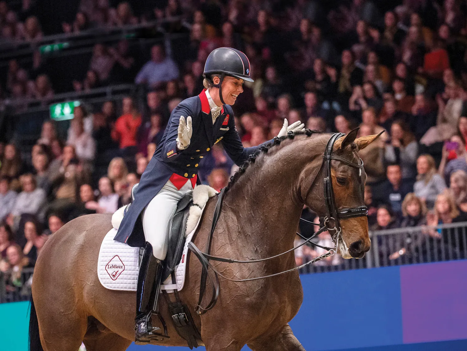 HORSE HEALTH TRADE LeMieux® ProSport Cotton Dressage Square Pad Best