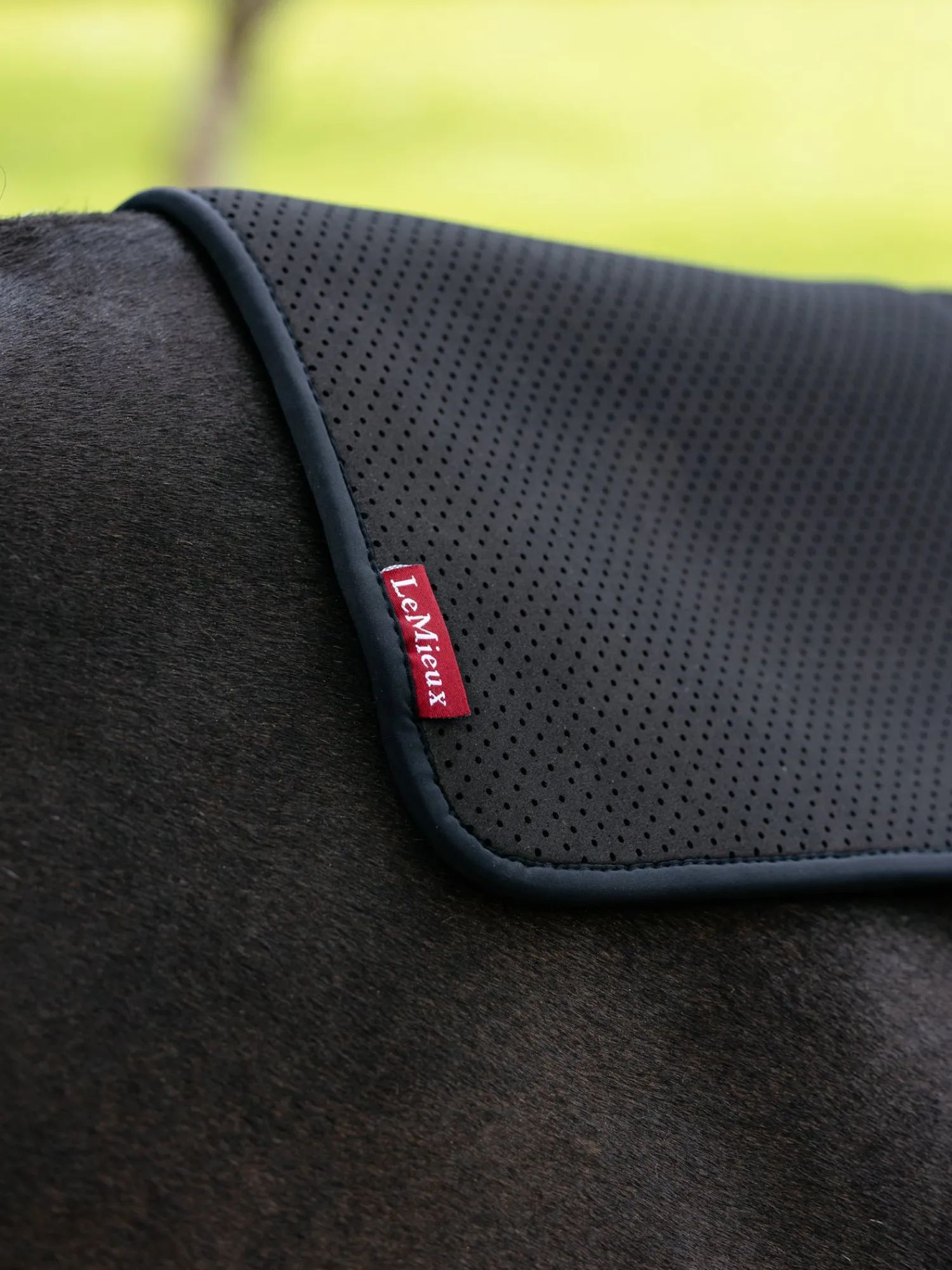 HORSE HEALTH TRADE LeMieux® Square Non-Slip Half Pad Black Best