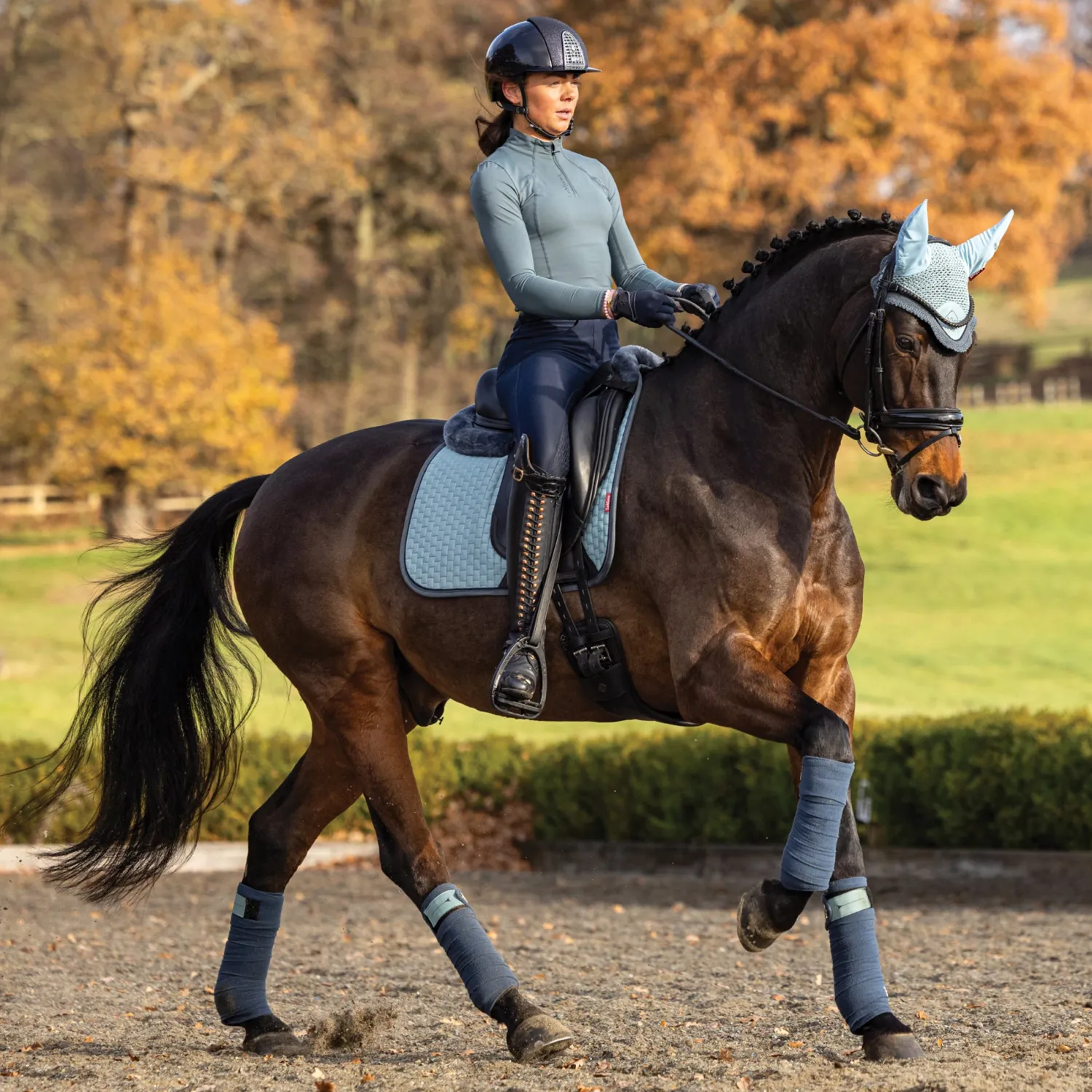 HORSE HEALTH TRADE LeMieux® Suede Dressage Pad Sale