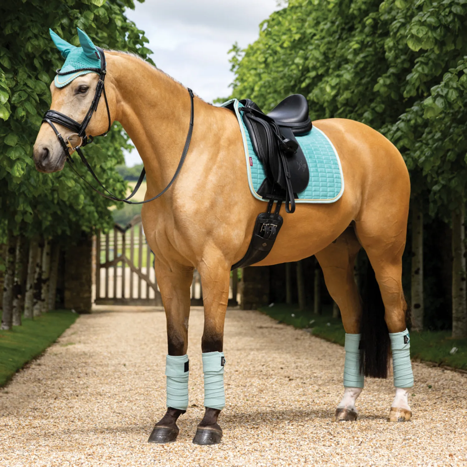 HORSE HEALTH TRADE LeMieux® Suede Dressage Pad Best