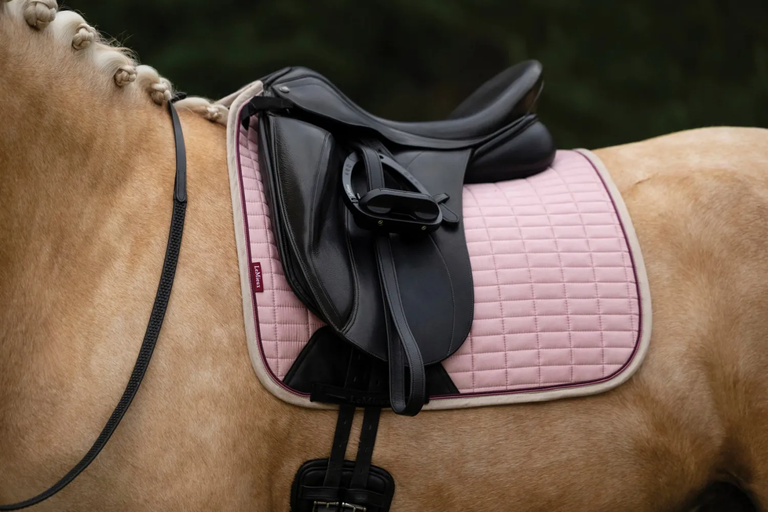 HORSE HEALTH TRADE LeMieux® Suede Dressage Pad Best