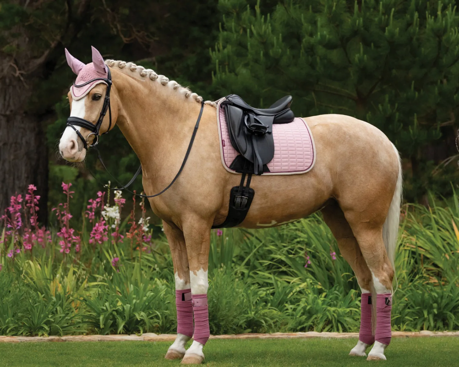 HORSE HEALTH TRADE LeMieux® Suede Dressage Pad Best