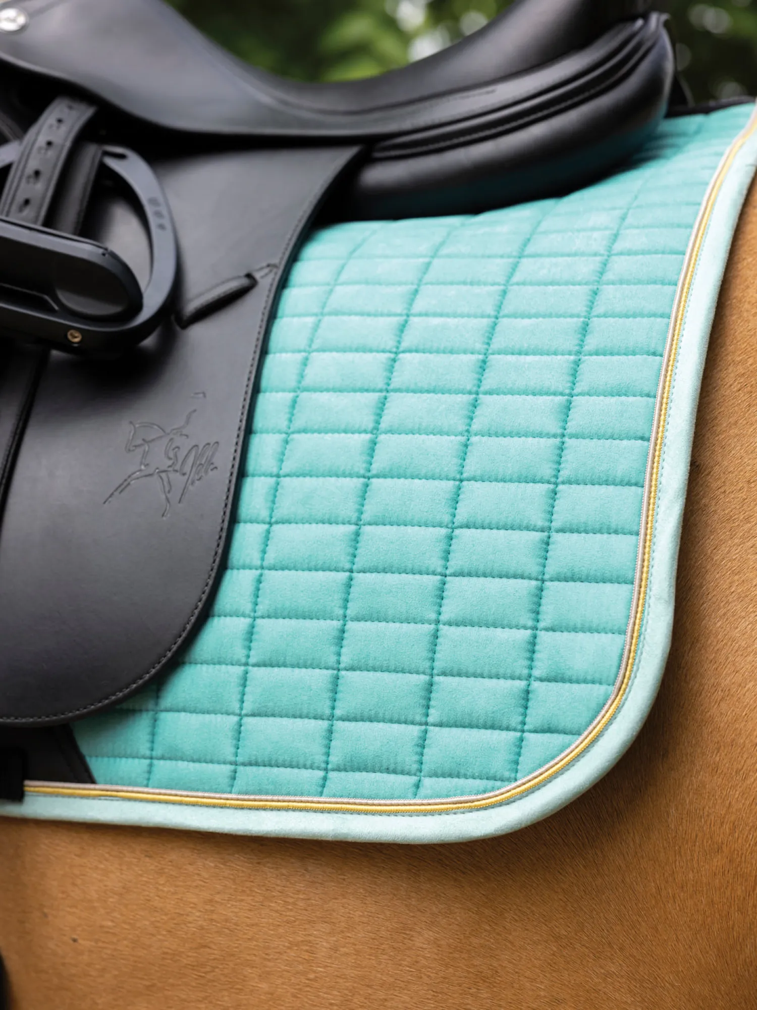 HORSE HEALTH TRADE LeMieux® Suede Dressage Pad Best
