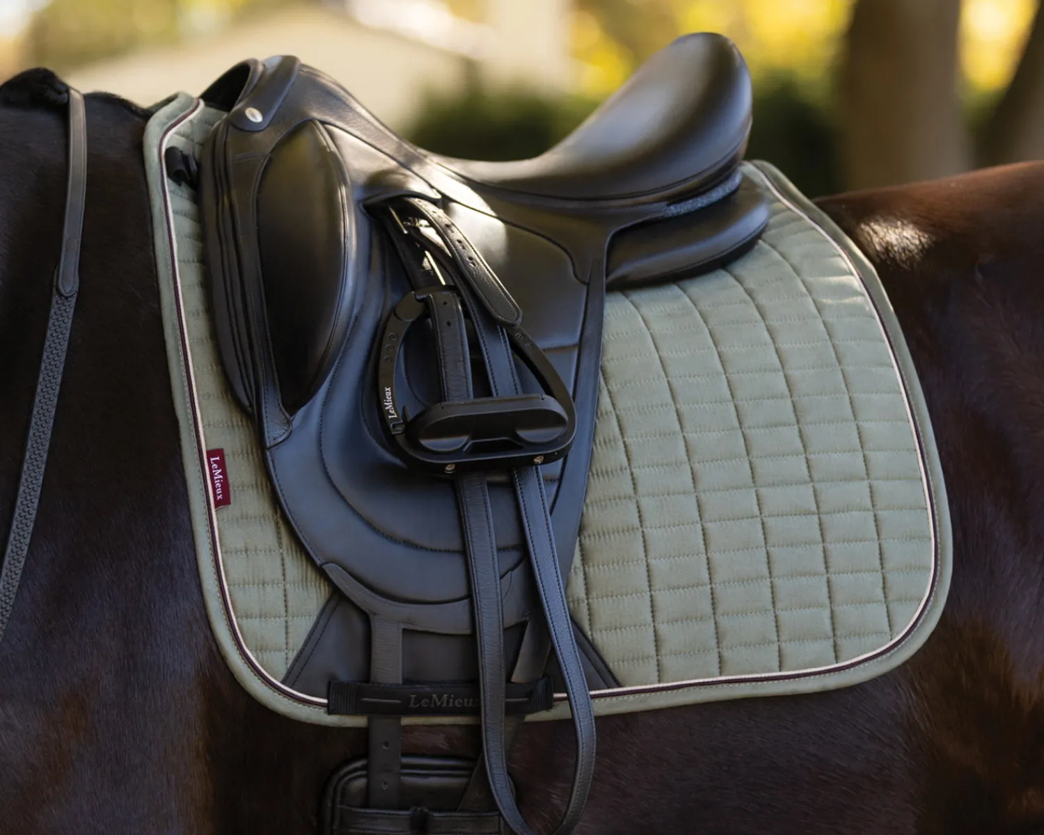 HORSE HEALTH TRADE LeMieux® Suede Dressage Saddle Pad Discount