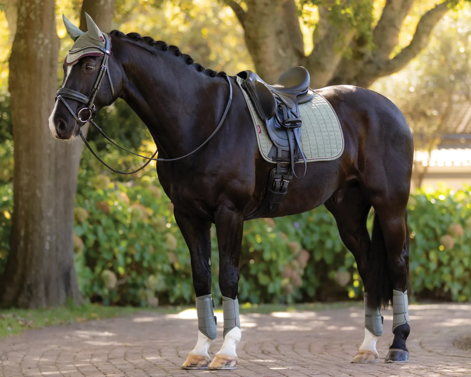 HORSE HEALTH TRADE LeMieux® Suede Dressage Saddle Pad Discount