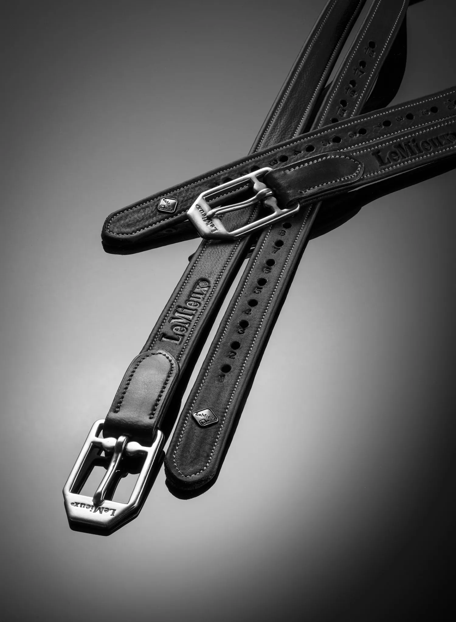 HORSE HEALTH TRADE LeMieux® Vector Stirrup Leathers Sale