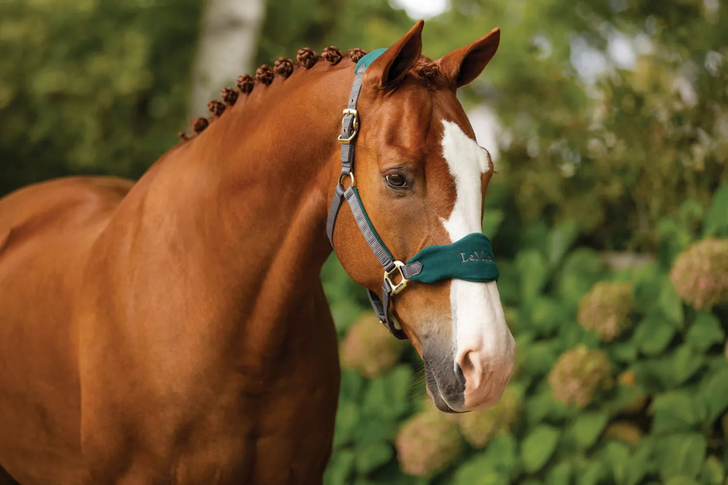 HORSE HEALTH TRADE LeMieux® Vogue Halter & Lead Rope Set Sale
