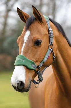 HORSE HEALTH TRADE LeMieux® Vogue Halter & Rope Lead Set Discount