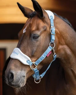 HORSE HEALTH TRADE LeMieux® Vogue Halter & Rope Lead Set Discount