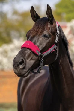 HORSE HEALTH TRADE LeMieux® Vogue Halter & Rope Lead Set Discount