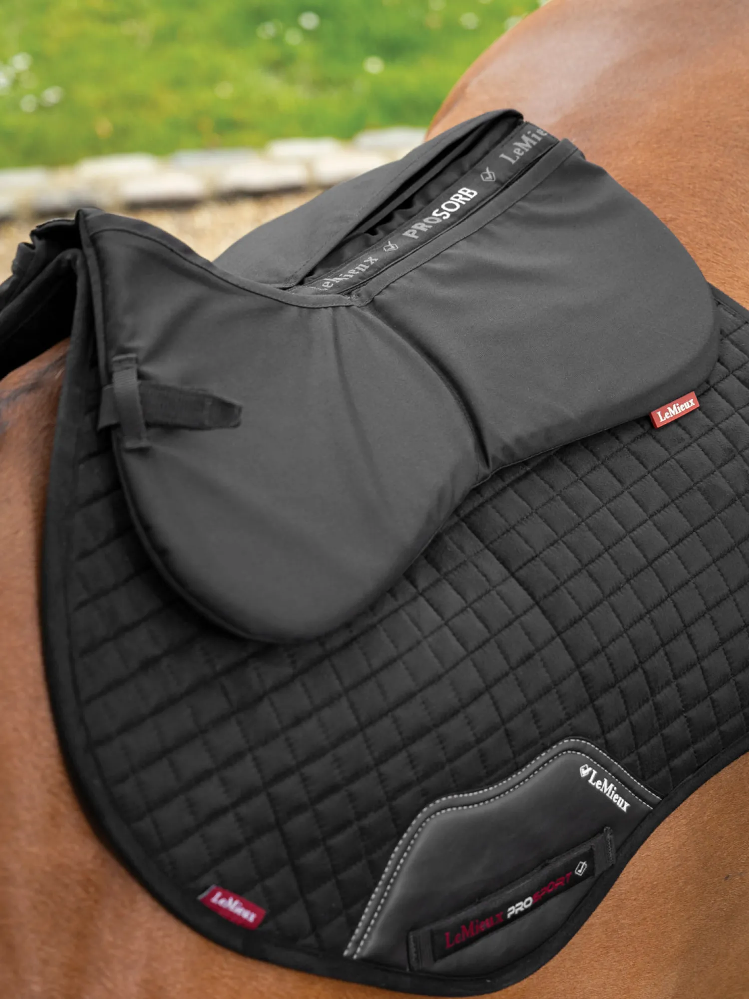 HORSE HEALTH TRADE LeMieux® ProSorb Plain 2-Pocket Half Pad Black