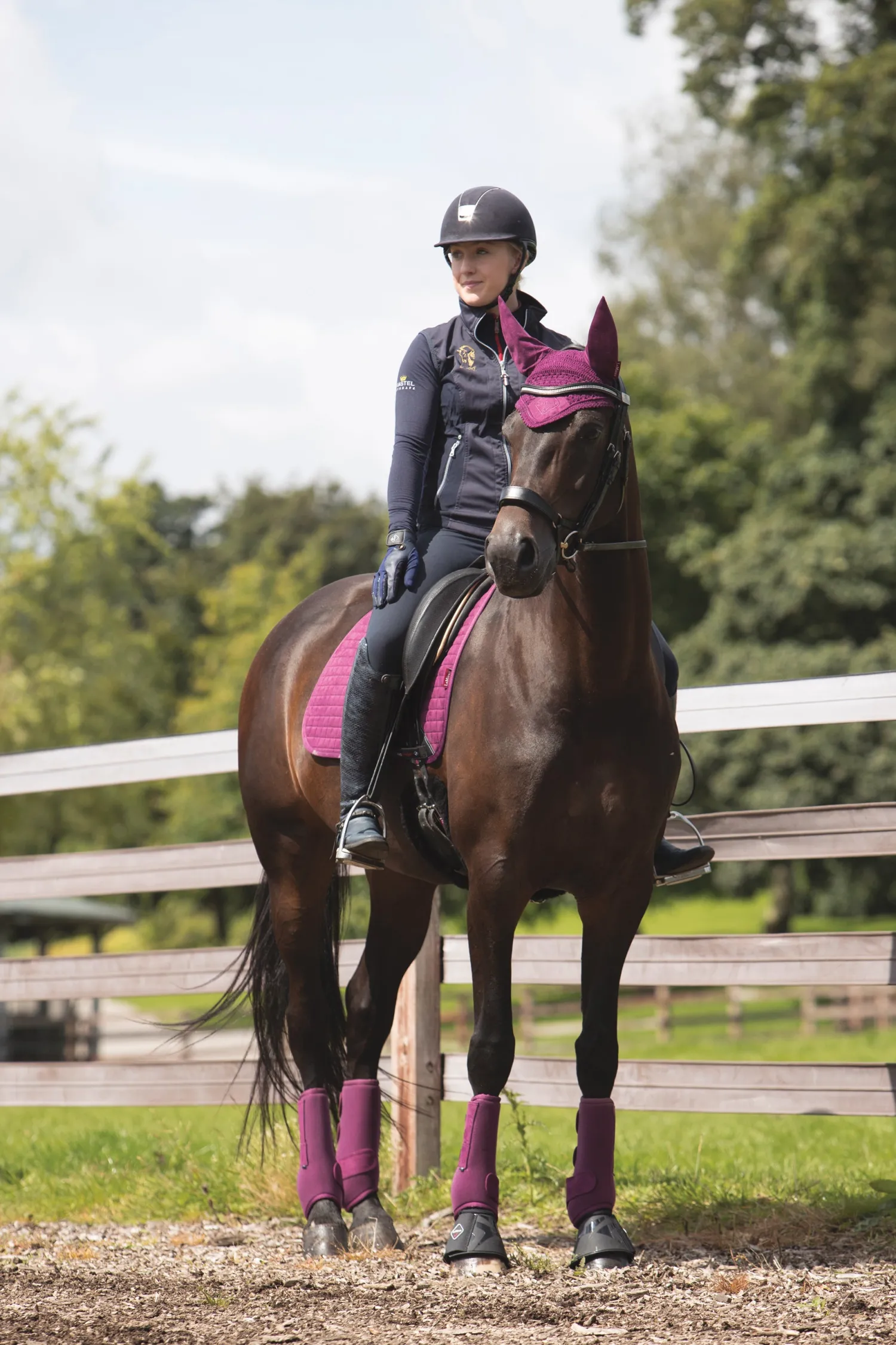 HORSE HEALTH TRADE LeMieux® Suede Dressage Square Pad Hot