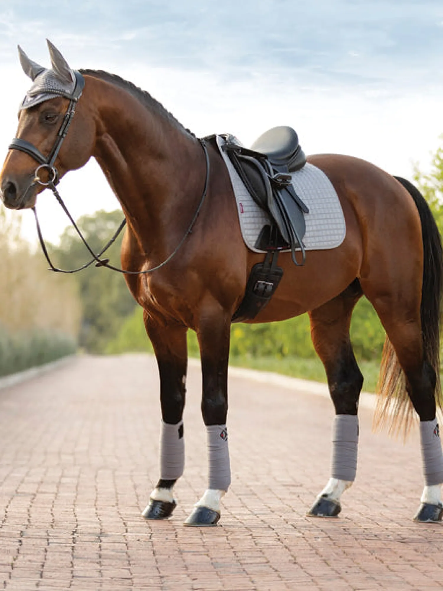 HORSE HEALTH TRADE LeMieux® Suede Dressage Square Pad Hot