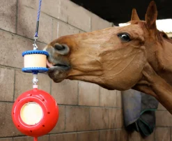 RJ MATTHEWS Likit™ Boredom Breaker™ Outlet