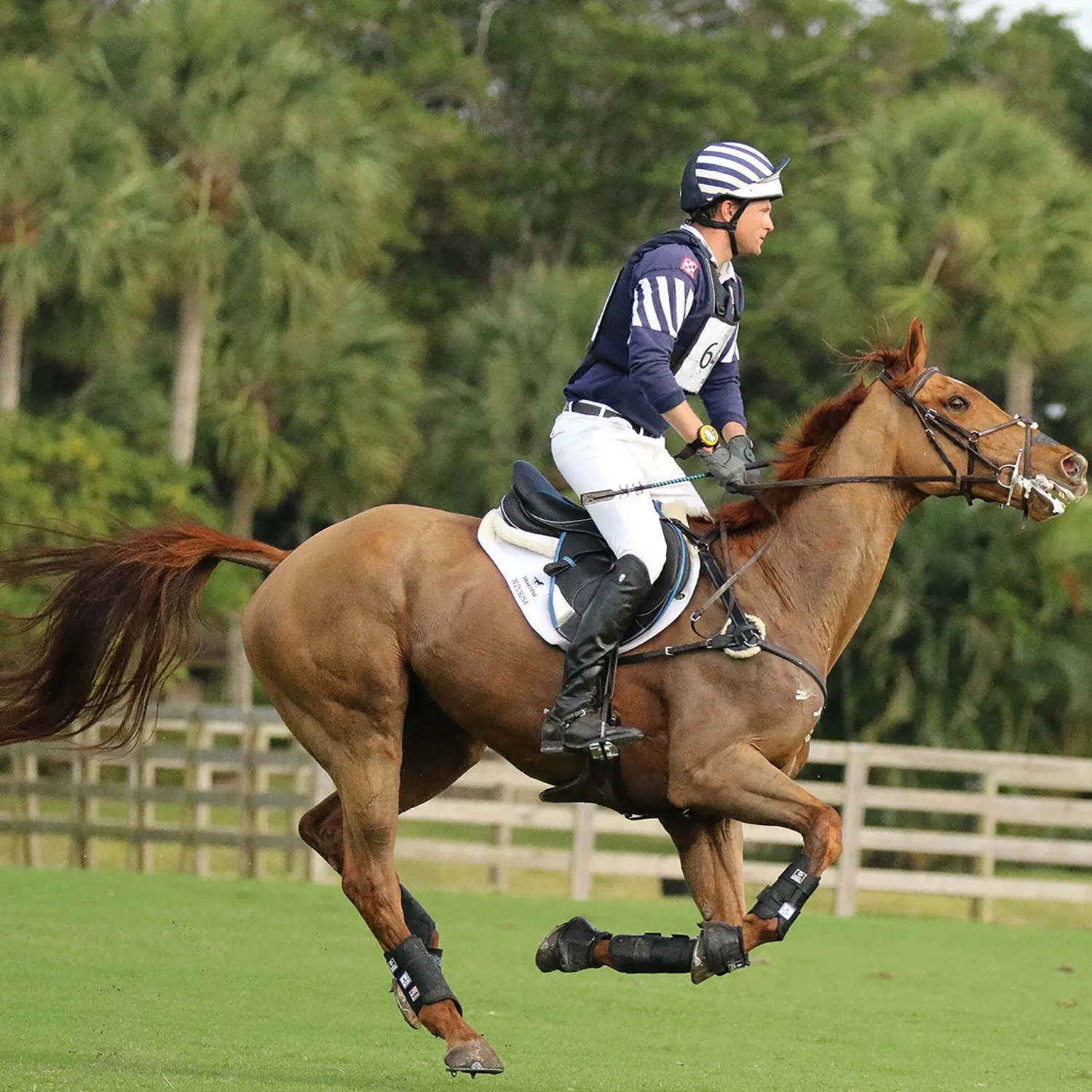 MAJYK EQUIPE ® Boyd Martin Eventing Front & Hind Boot 4-Pack Best