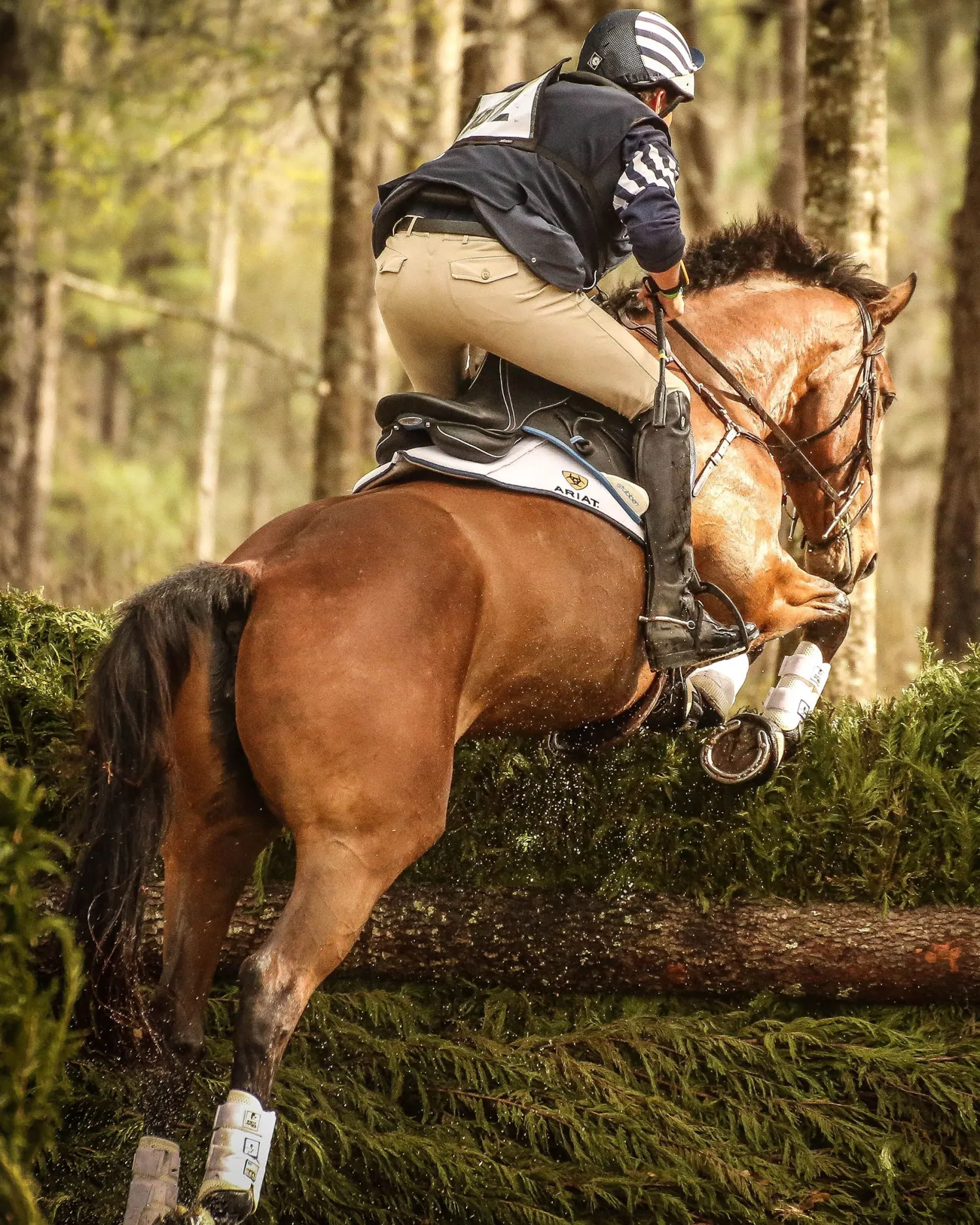 MAJYK EQUIPE ® Boyd Martin Eventing Front & Hind Boot 4-Pack Best