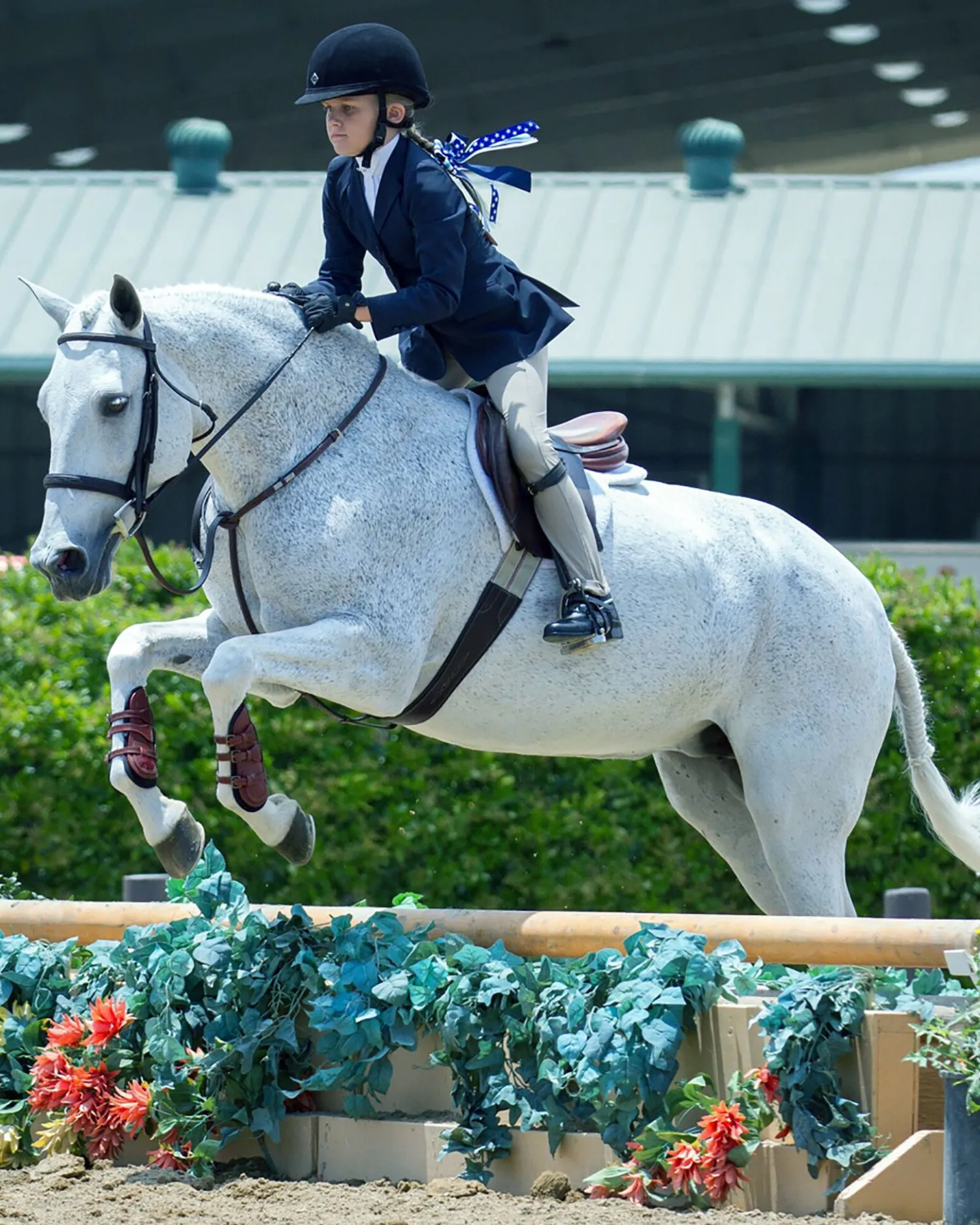 MAJYK EQUIPE ® Leather Jump Boot with Removable Impact Liners (Buckle Closure) - Pony/Cob Havana Brown Clearance