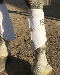 MAJYK EQUIPE ® Sport/Dressage Front Boots with Arti-Lage™ Impact Technology Sale