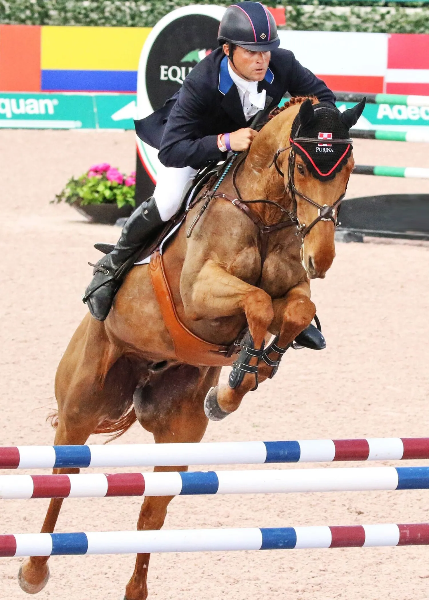 MAJYK EQUIPE ® Stadium Front Jump Boots with Arti-Lage™ Impact Technology Hot