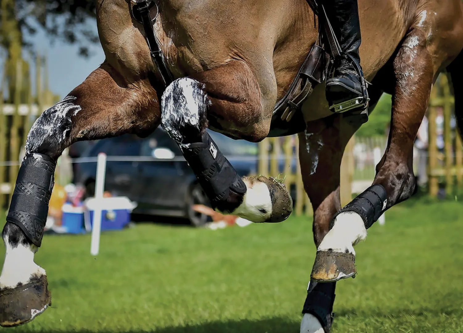 MAJYK EQUIPE ® XC Elite Hind Boot with Arti-Lage™ Technology