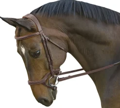 INT RIDING HELMET Marcel Toulouse Hybrid Jumper Bridle Chocolate Hot