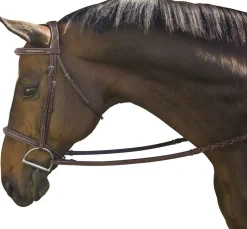 INT RIDING HELMET Marcel Toulouse Platinum Liza/Camden Snaffle Hunter Bridle Chocolate Online