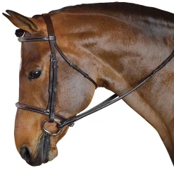 INT RIDING HELMET Marcel Toulouse Standard Hunter Bridle Chocolate Best