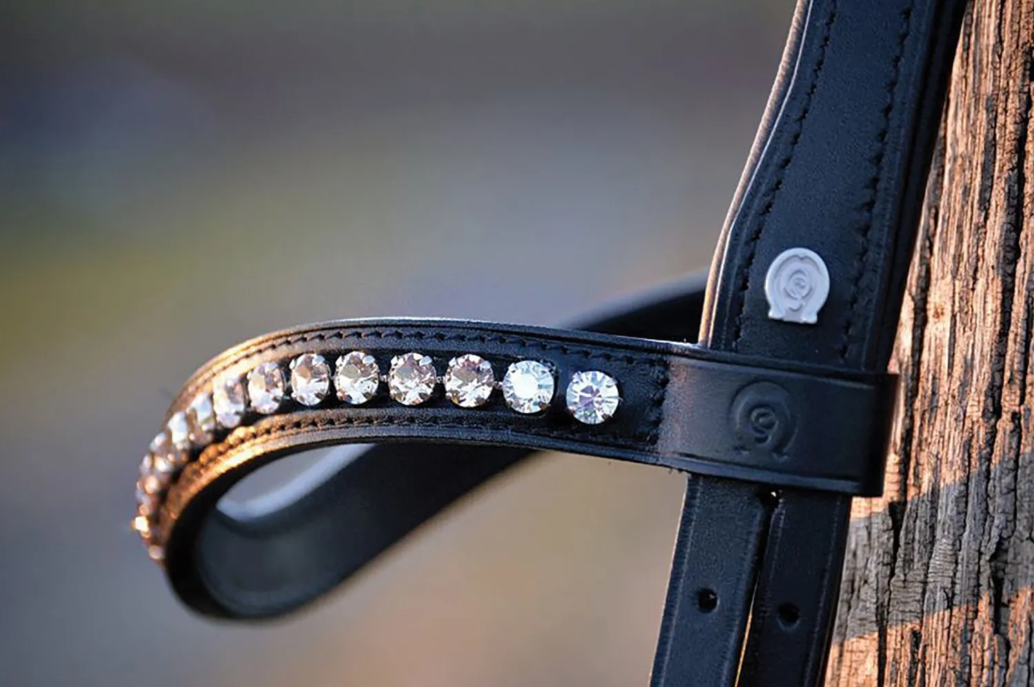OTTO SCHUMACHER Fancy Stone Browband Hot