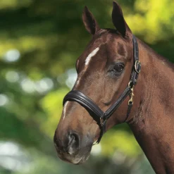 OTTO SCHUMACHER Leather Halter Black New