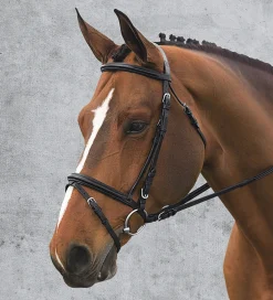 ERS Ovation® Comfort Crown Dressage Bridle Black Discount