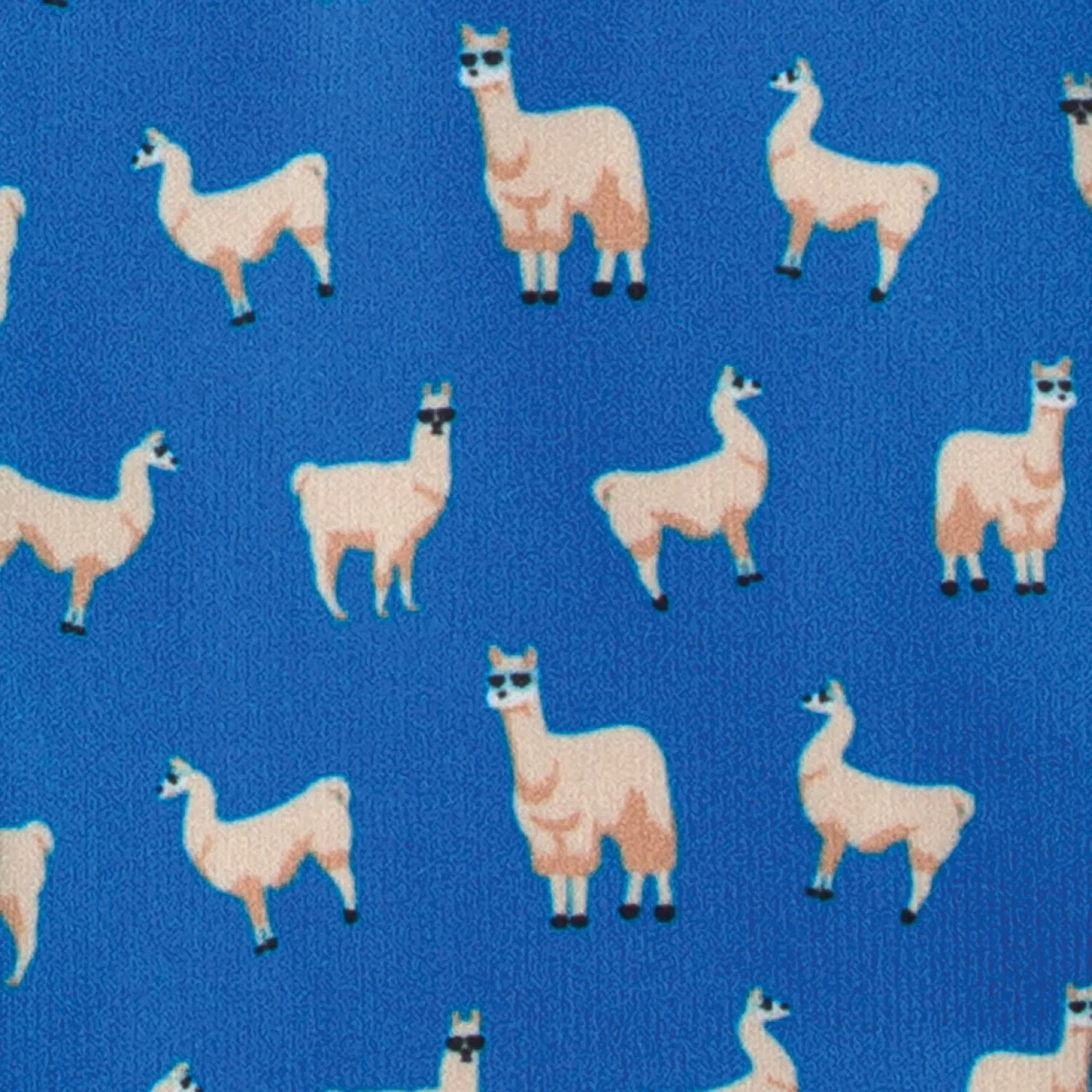 ERS Ovation® Ladies’ Footzees Boot Socks Best