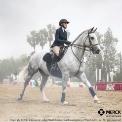 ANIMAL HEALTH INT Panacur® PowerPac Clearance