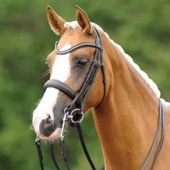 GEM-PASSIER PassierBLU® Dream Double Bridle Black Clearance