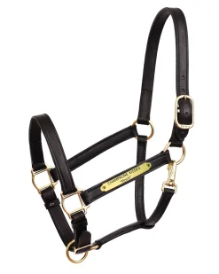 PERRIS LEATHER Perri’s® 1" Leather Turnout Halter with Nameplate Outlet