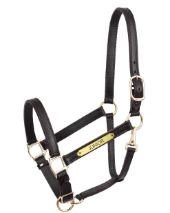 PERRIS LEATHER Perri’s® 1" Leather Turnout Halter with Nameplate Outlet
