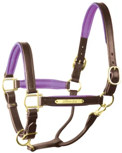 PERRIS LEATHER Perri’s® 1" Padded Leather Halter with Nameplate Online