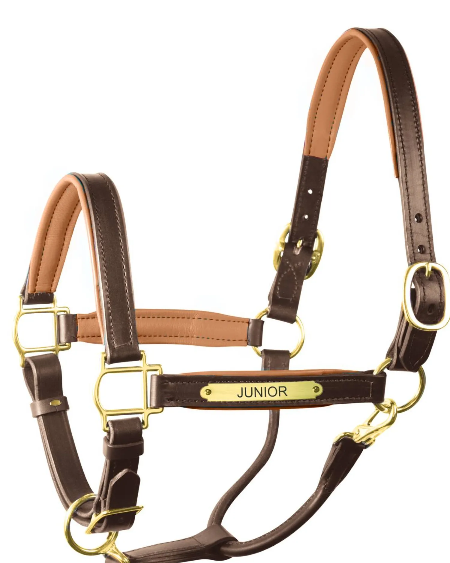 PERRIS LEATHER Perri’s® 1" Padded Leather Halter with Nameplate Online
