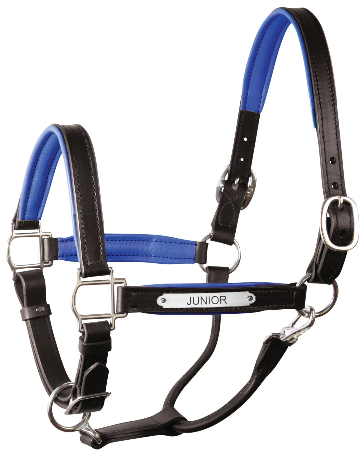 PERRIS LEATHER Perri’s® 1" Padded Leather Halter with Nameplate Online