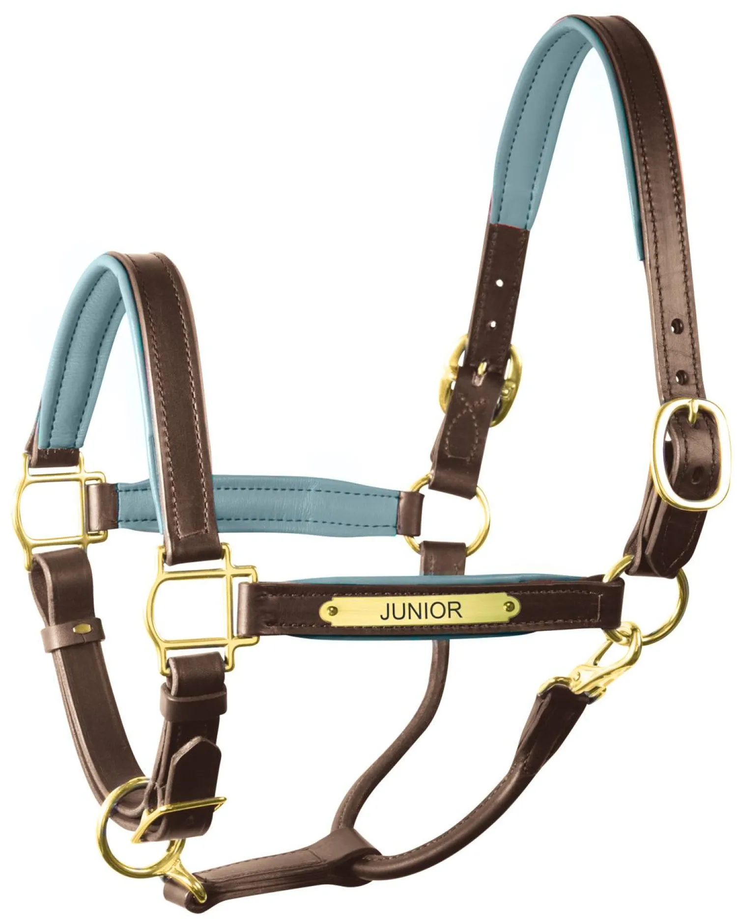 PERRIS LEATHER Perri’s® 1" Padded Leather Halter with Nameplate Online