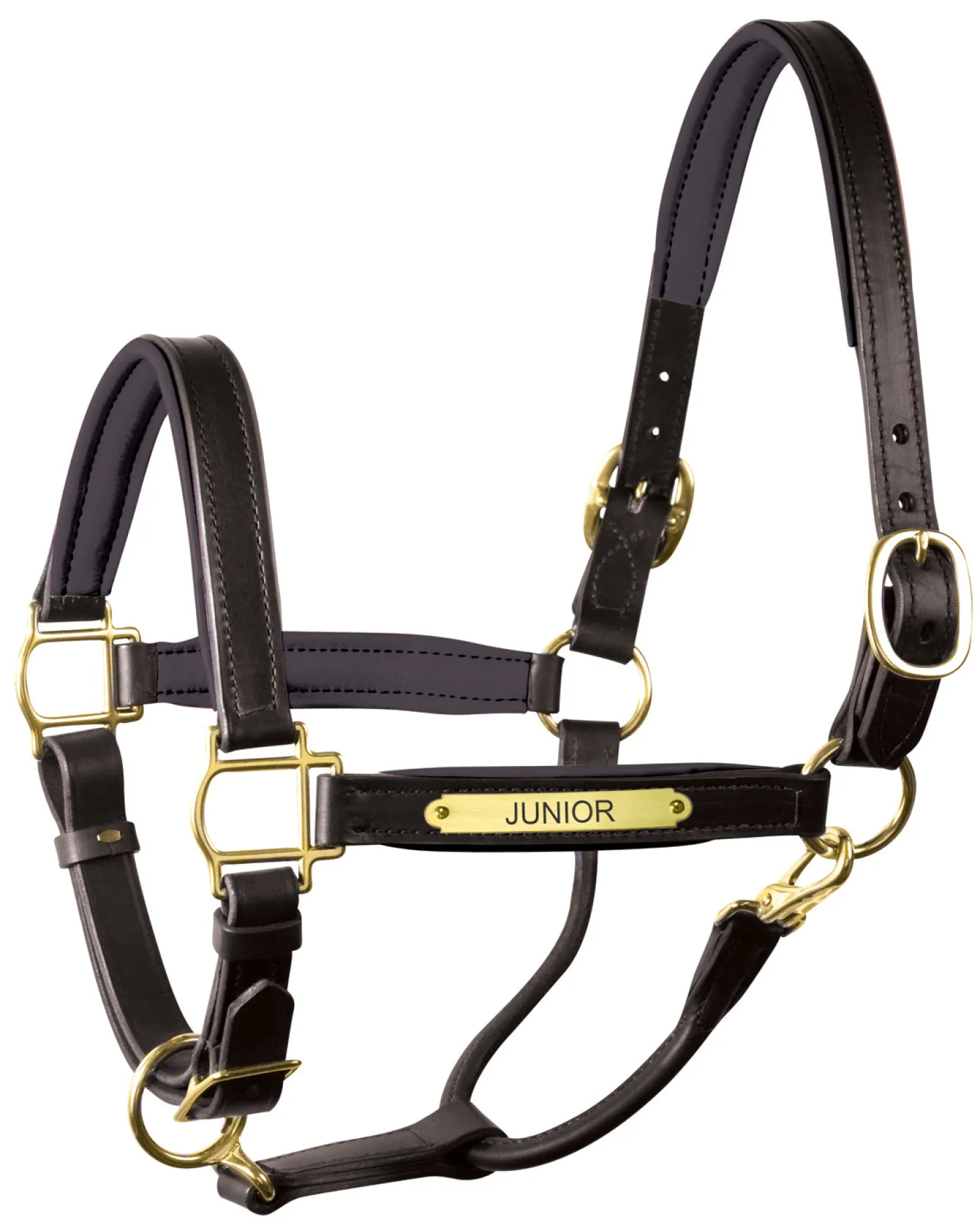PERRIS LEATHER Perri’s® 1" Padded Leather Halter with Nameplate Online