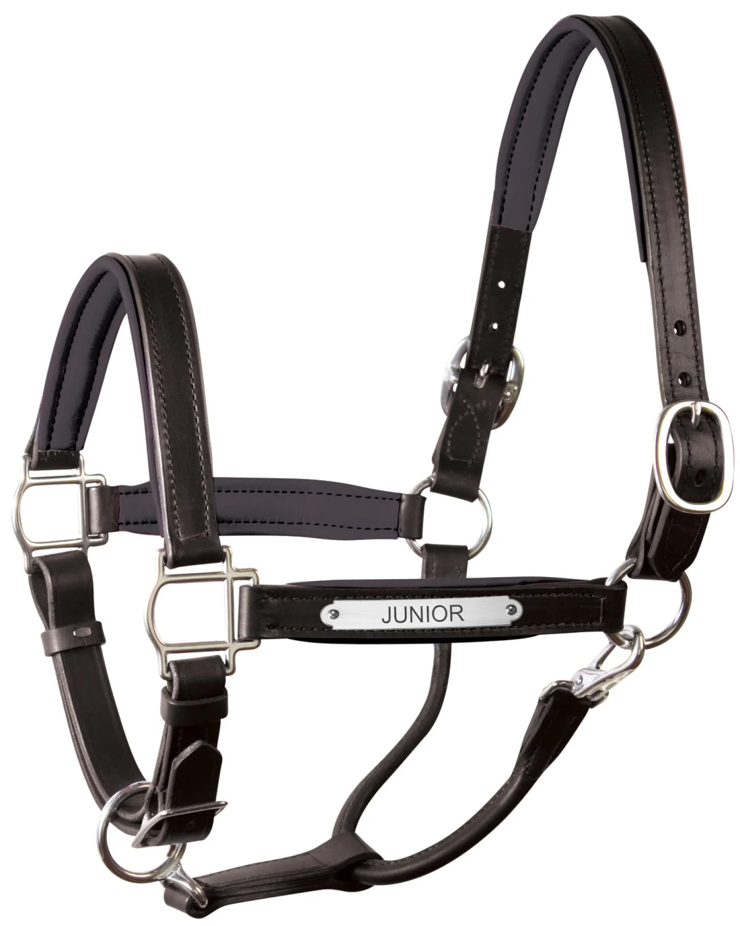 PERRIS LEATHER Perri’s® 1" Padded Leather Halter with Nameplate Online