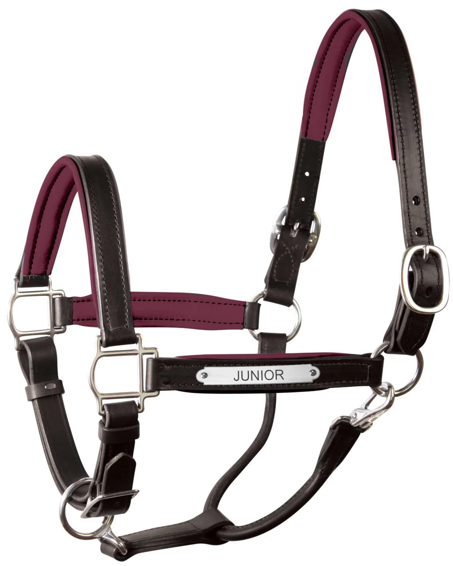 PERRIS LEATHER Perri’s® 1" Padded Leather Halter with Nameplate Online