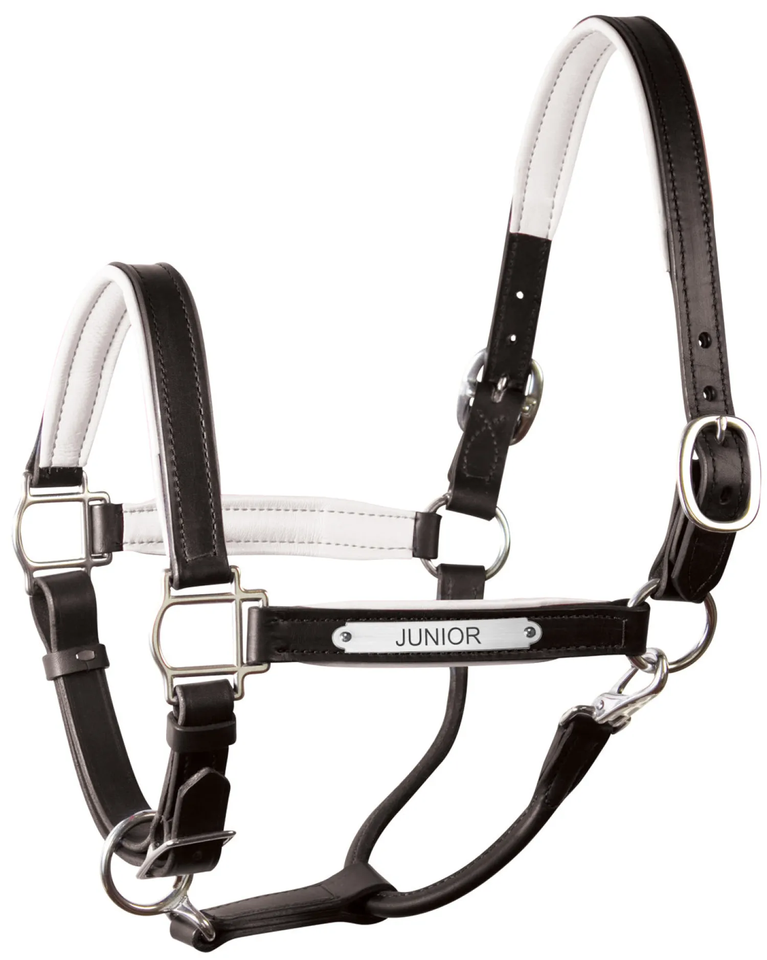 PERRIS LEATHER Perri’s® 1" Padded Leather Halter with Nameplate Online