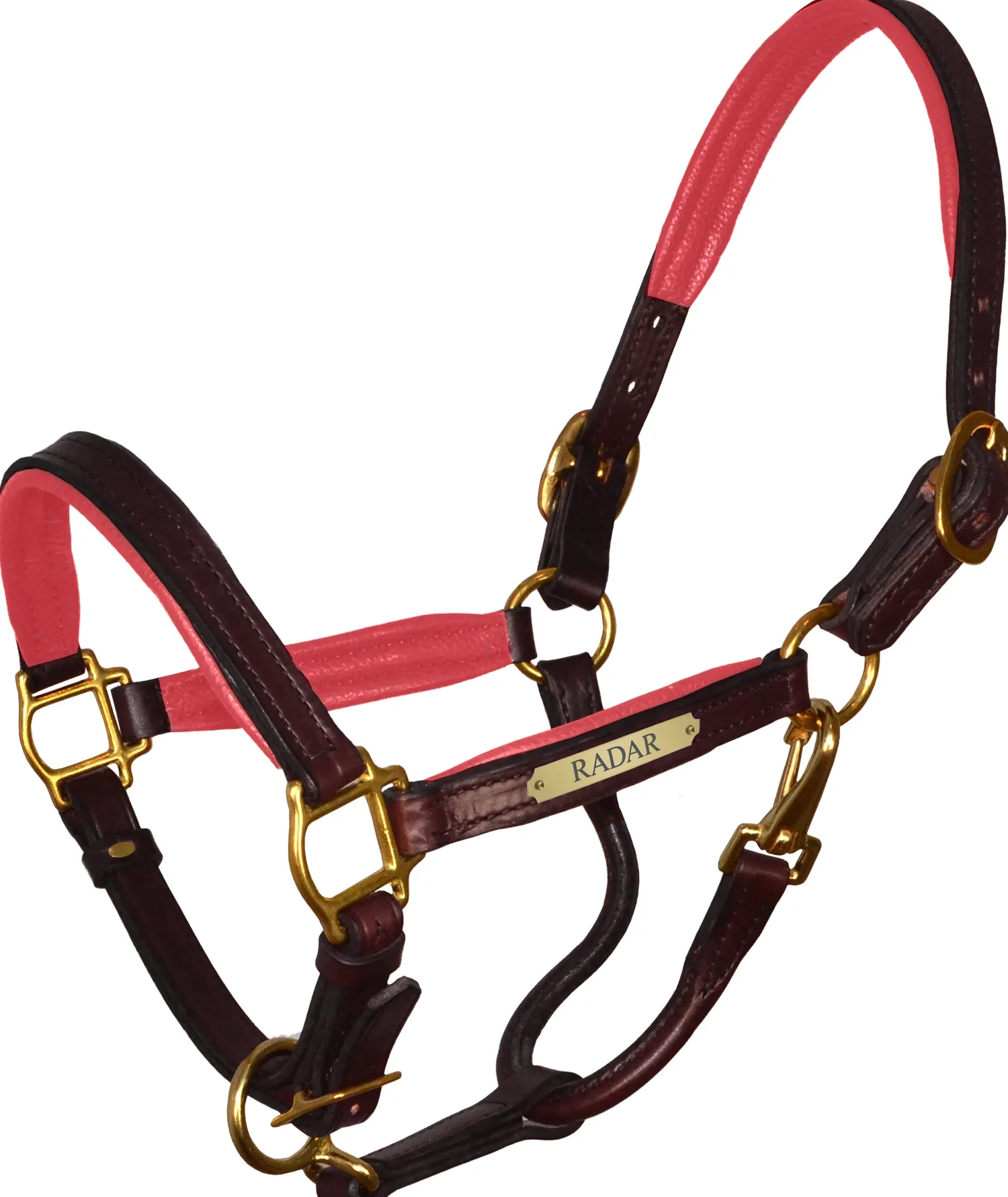 PERRIS LEATHER Perri’s® 1" Padded Leather Halter with Nameplate Online