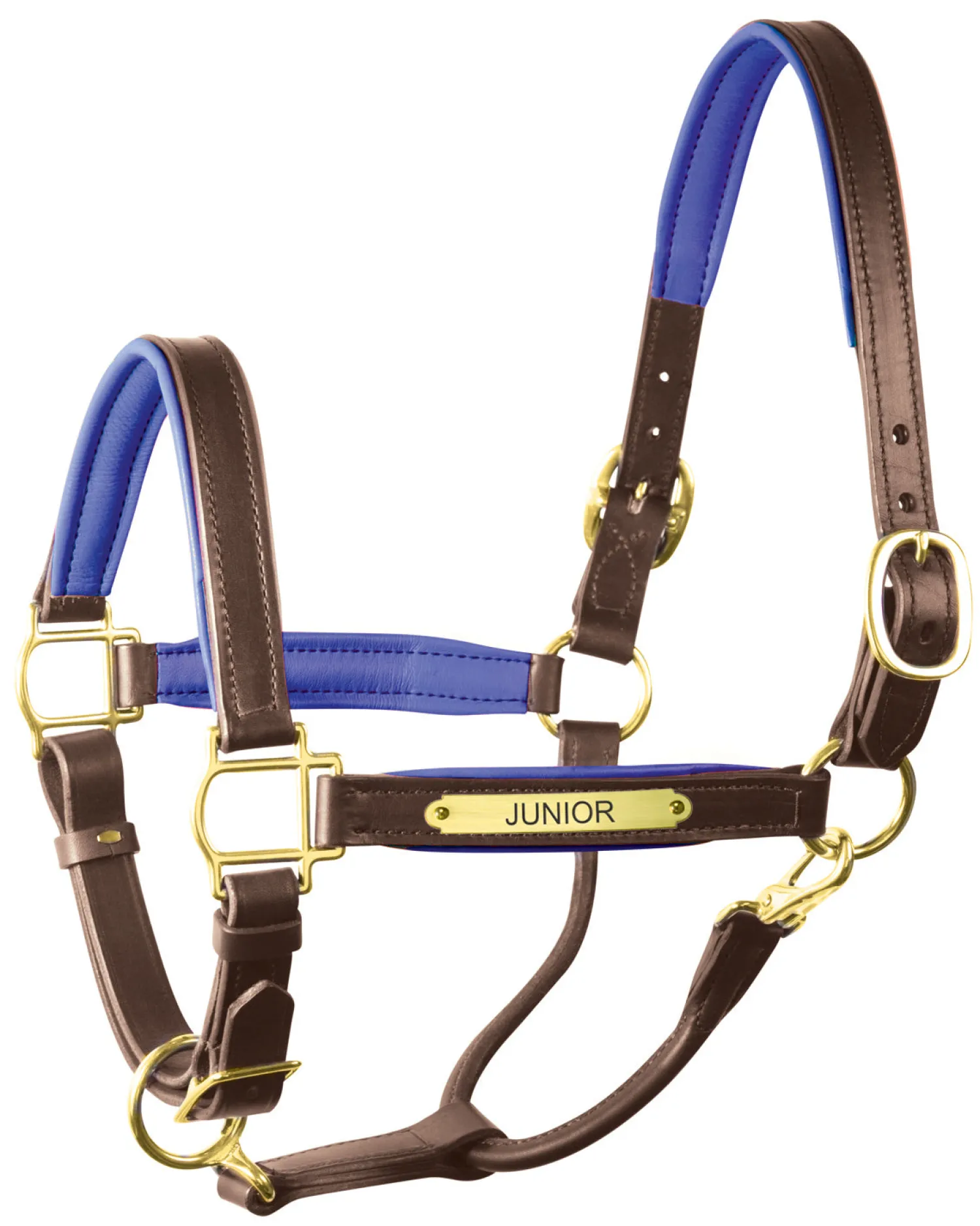 PERRIS LEATHER Perri’s® 1" Padded Leather Halter with Nameplate Online