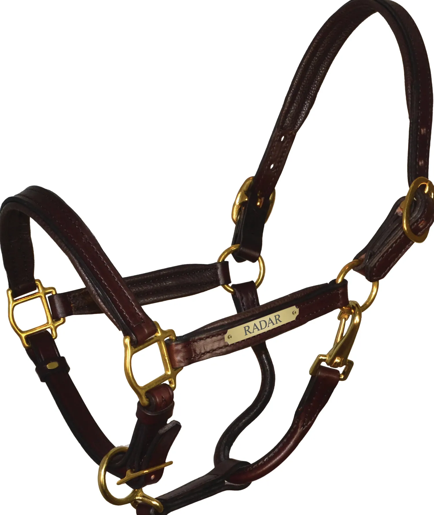 PERRIS LEATHER Perri’s® 1" Padded Leather Halter with Nameplate Online
