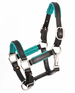 PERRIS LEATHER Perri’s® 3/4" Padded Leather Mini Halter Discount