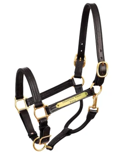 PERRIS LEATHER Perri’s® 1" XL Stallion Premium Leather Show Halter with Nameplate Outlet