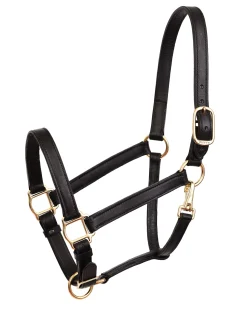 PERRIS LEATHER Perri’s® Leather Turnout Halter