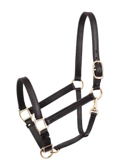 PERRIS LEATHER Perri’s® Leather Turnout Halter